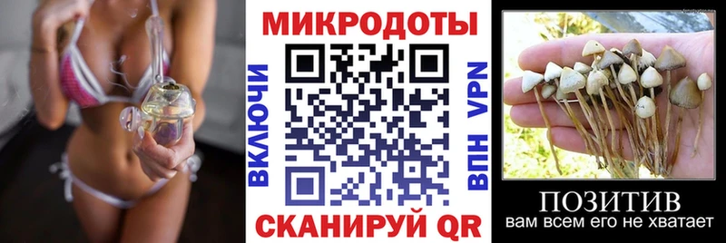 Купить закладки  Боровичи  Галлюциногенные грибы прущие грибы 